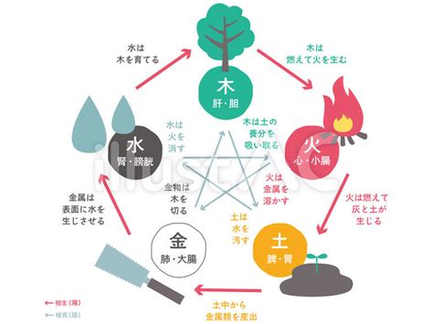 五行關係|五行